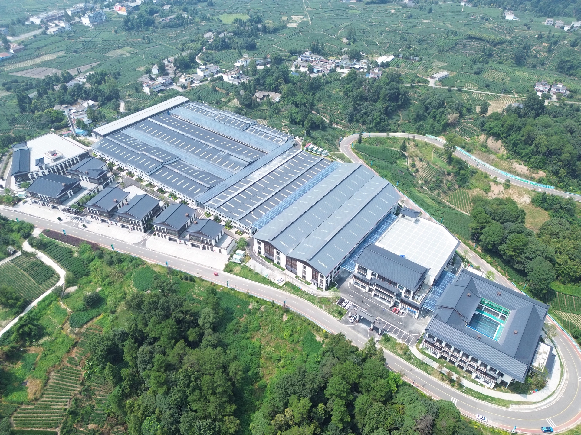 1920- 总承包公司--雅安茶叶产业园圆满竣工 雅安名山农业产业园项目.jpg
