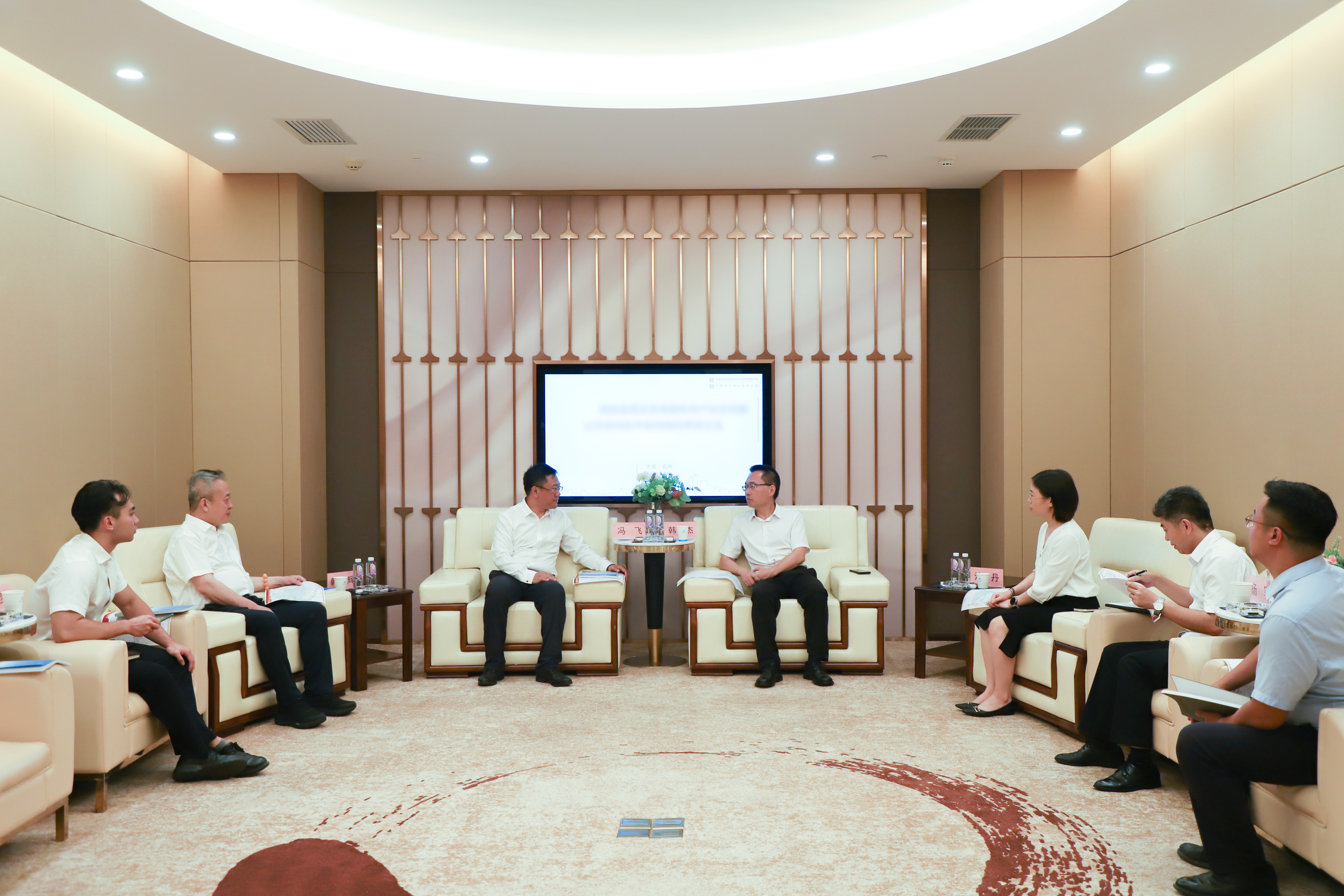 全景图-会客厅 (2).jpg 全景图-会客厅 (2).jpg