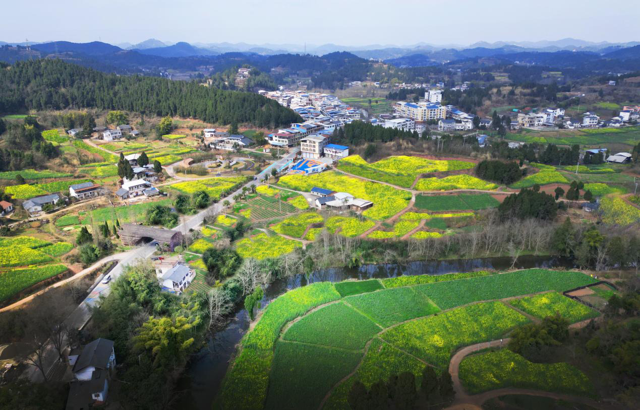 01 明星镇鸟瞰 图片1.jpg 01 明星镇鸟瞰 图片1.jpg