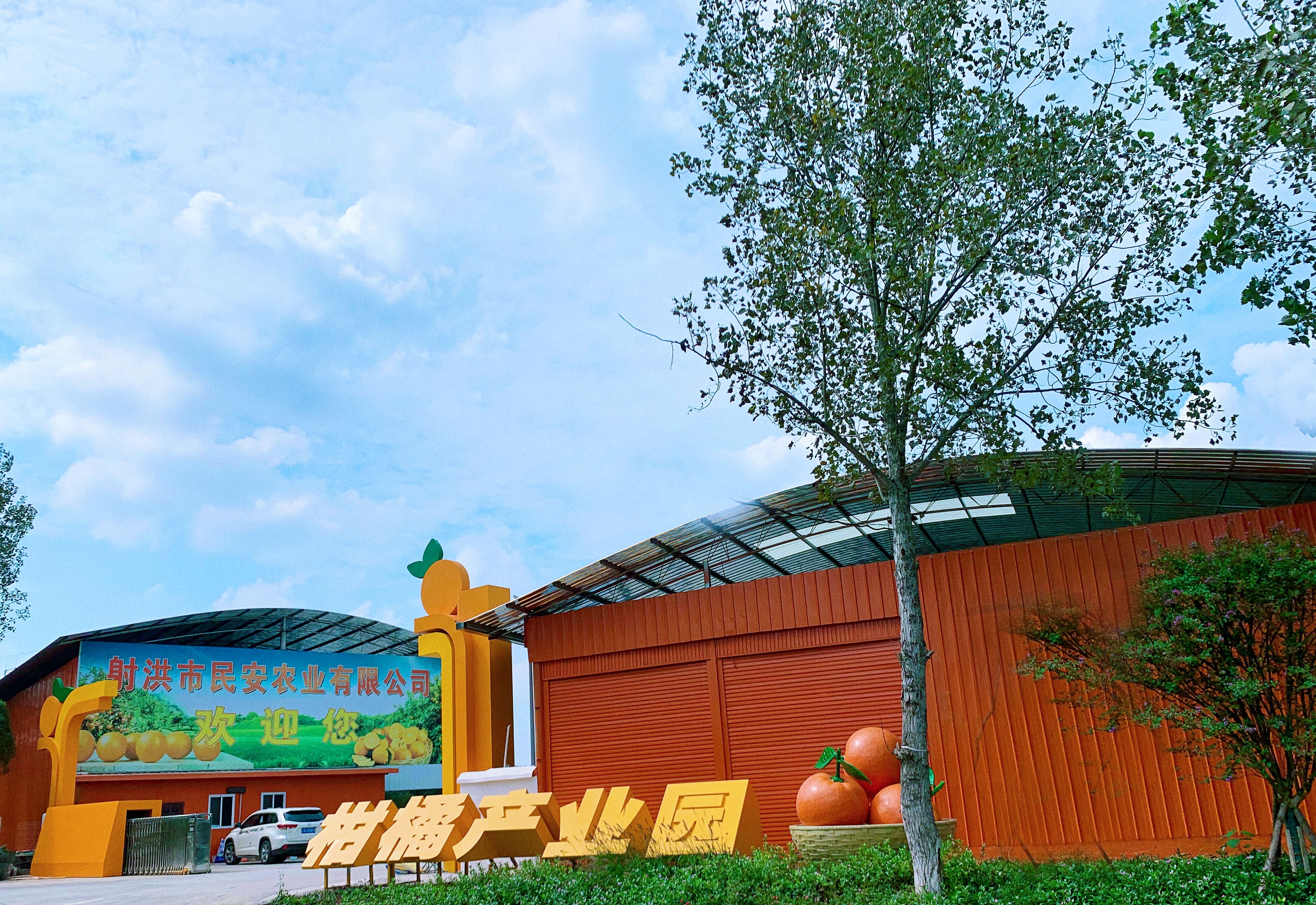 04 柑橘产业园实景.jpg 04 柑橘产业园实景.jpg