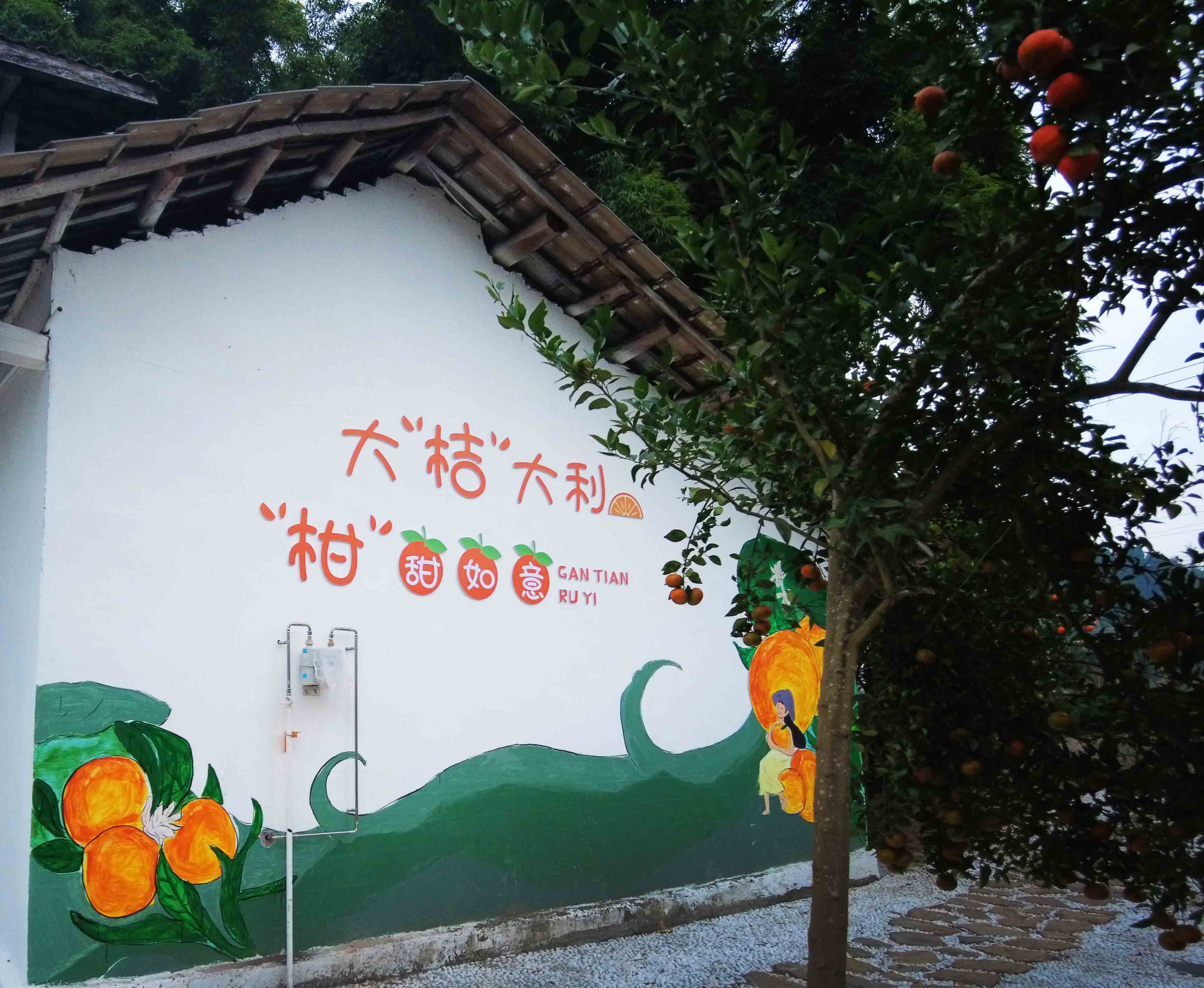 17 和美乡村——最美庭院提升 23.JPG 17 和美乡村——最美庭院提升 23.JPG