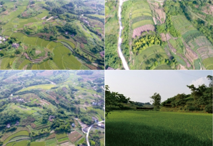 场址测量实景.png 场址测量实景.png