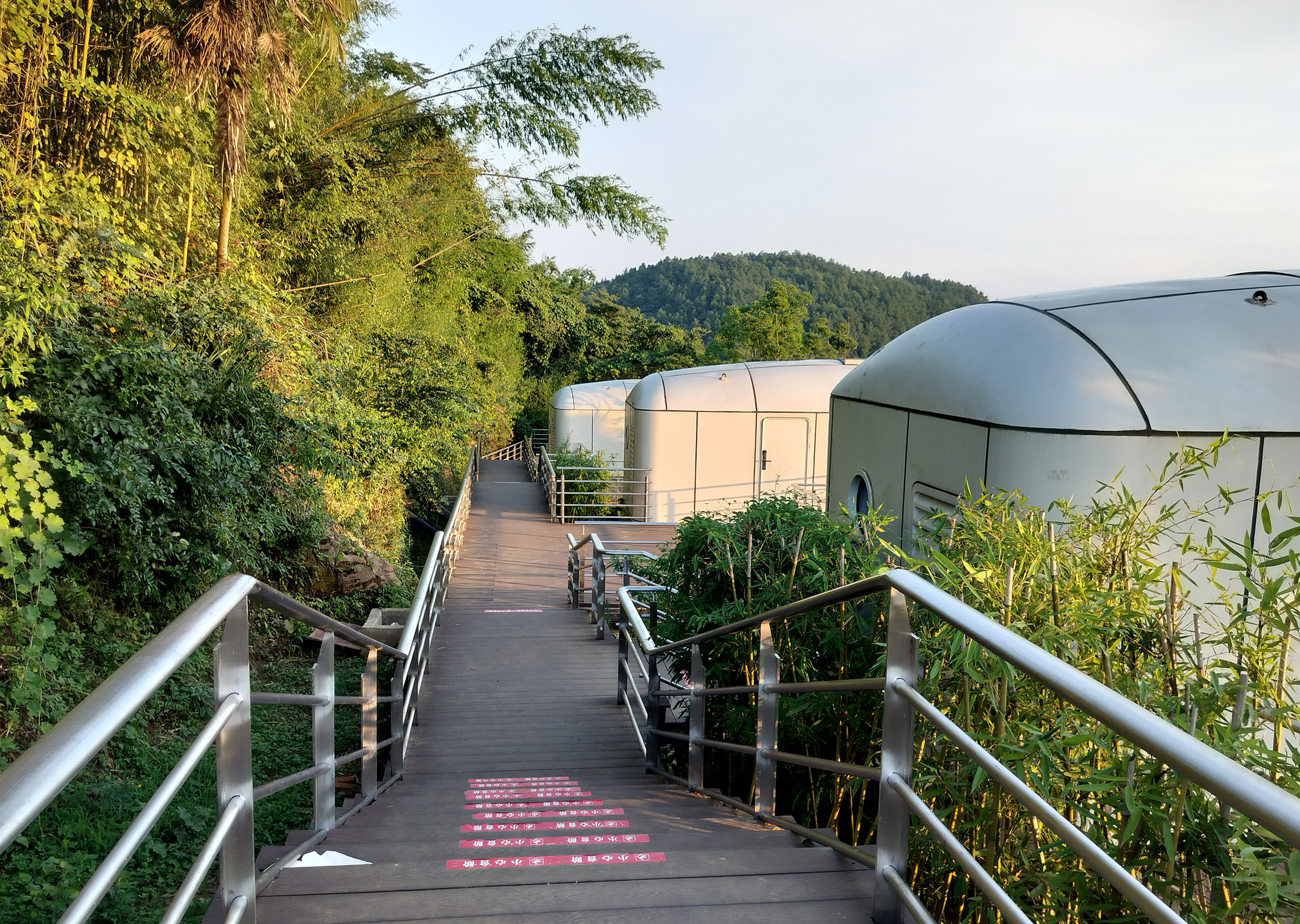 26-地下空间有限公司-广安四方山储备林项目.jpg 26-地下空间有限公司-广安四方山储备林项目.jpg