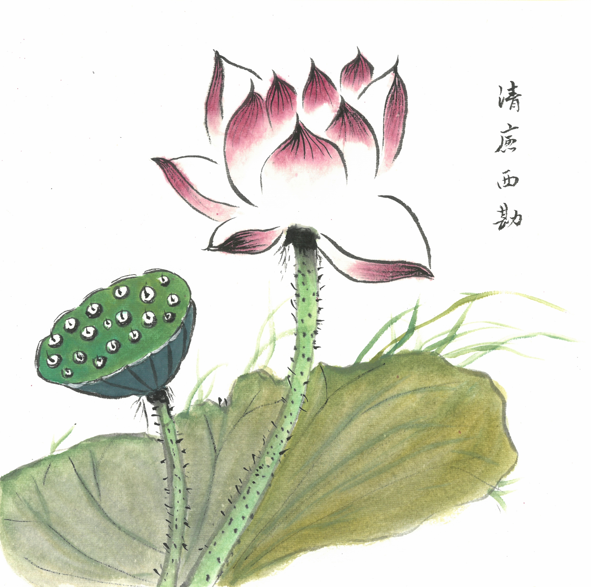 1920- 2.华南公司 奚海柠 清廉西勘.jpg 1920- 2.华南公司 奚海柠 清廉西勘.jpg